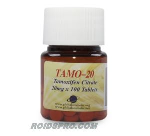 Tamo-20 for sale | Tamoxifen Citrate 20 mg x 100 tablets | Global Anabolics